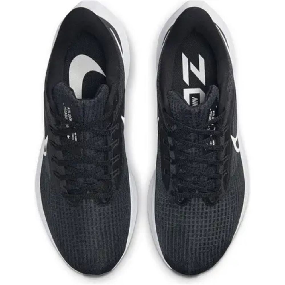 Nike Pegasus 39